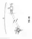 Fig. 07 - External Unit of an Implanted Medical Device