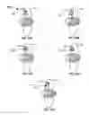 Fig. 22 - Synchrotron energy control apparatus and method of use thereof