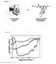 Fig. 08 - Block Copolymer Complex Coacervate Core Micelles for Enzymatic Catalysis in Organic Solvent