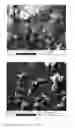 Fig. 09 - Process for biochemical denaturation of an asbestos-containing material
