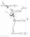 Fig. 02 - Human flying apparatus
