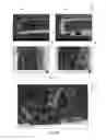 Fig. 05 - Polymeric nanocomposite films with embedded channels and methods for their preparation and use
