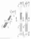 Fig. 22 - Cartridges, collectors, kits, and methods for enhanced detection and quantification of analytes in collected fluid samples