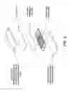 Fig. 03 - Polymer microfluidic biochip fabrication