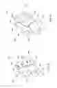 Fig. 04 - TEXTURED CONDOM