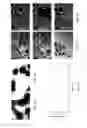 Fig. 03 - Grafted Polymer Surfaces for Dropwise Condensation, and Associated Methods of Use and Manufacture