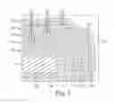 Fig. 03 - INVESTMENT CASTING COMPOSITIONS, MOLDS, AND RELATED METHODS