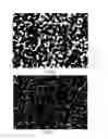Fig. 02 - Method for Preparing Porous Metal Material and Application Thereof