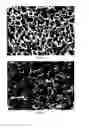 Fig. 03 - Method for Preparing Porous Metal Material and Application Thereof