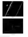 Fig. 06 - Method for Preparing Porous Metal Material and Application Thereof