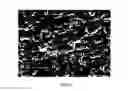Fig. 07 - Method for Preparing Porous Metal Material and Application Thereof