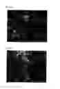 Fig. 13 - Coated copper particles and method for producing the same