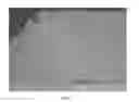 Fig. 08 - TITANIUM CARBIDE OVERLAY AND METHOD OF MAKING