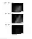 Fig. 06 - METHOD OF MANUFACTURING COMPOSITE MATERIAL