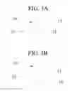 Fig. 04 - Nail Set