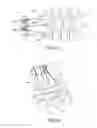 Fig. 06 - Actuation of a hand to be provided on a humanoid robot