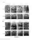 Fig. 06 - Mechanical reticulation of polymeric-based closed cell foams