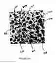 Fig. 08 - Mechanical reticulation of polymeric-based closed cell foams