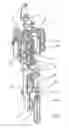 Fig. 02 - Method and device for tempering preforms