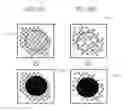 Fig. 12 - Fiber-reinforced plastic joined body, method for producing fiber-reinforced plastic joined body, and fiber-reinforced molded article