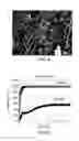 Fig. 04 - PREPREG MATERIAL CAPABLE OF PROVIDING LIGHTNING STRIKE PROTECTION AND BURN-THROUGH RESISTANCE