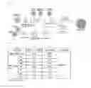 Fig. 03 - A FLAME RETARDANT FLOORING MATERIAL AND METHOD OF MANUFACTURING THE SAME