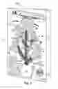 Fig. 02 - Christmas Tree Greeting Card