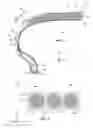 Fig. 02 - Tire Including A Casing Layer That Includes Sheathed Casing Reinforcement Elements