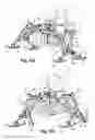 Fig. 15 - Vehicle having a chassis and a pendulum nacelle