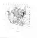 Fig. 02 - IMPROVEMENTS IN VEHICLE MOUNTED PEDAL BOX ASSEMBLIES