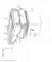 Fig. 20 - Side seat and swivel restraint system