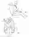 Fig. 03 - Safety restraint system with inflatable pelvis restraint device