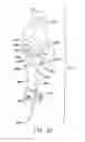 Fig. 13 - Web position adjustment and attenuation apparatus