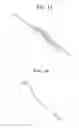 Fig. 02 - Wiper blade assembly