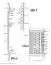Fig. 03 - Bottle with insulative body