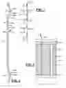 Fig. 05 - Bottle with insulative body