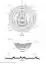 Fig. 06 - Can end tear panel with decorative relief features