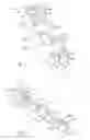 Fig. 05 - Clasp for tethering