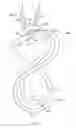Fig. 07 - Clasp for tethering