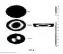 Fig. 08 - Microwave heating package with polarized shield