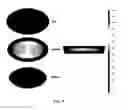 Fig. 09 - Microwave heating package with polarized shield