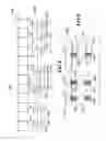 Fig. 04 - Multiposition lift