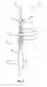 Fig. 04 - WINGED CORKSCREW WITH ONE OR MORE SECONDARY UTENSILS