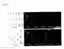 Fig. 09 - Combined-blade open flow path device and joined body thereof