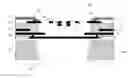 Fig. 01 - Monolithic CMOS-MEMS microphones and method of manufacturing
