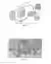 Fig. 03 - DEWATERING PROCESS THROUGH FORWARD OSMOSIS USING DEEP EUTECTIC SOLVENTS WITH OR WITHOUT DISPERSED MAGNETIC NANOPARTICLES AS NOVEL DRAW SOLUTIONS