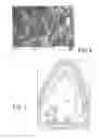 Fig. 03 - Electrical Household Appliance with Biodegradable Scale-Inhibiting Agent