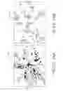Fig. 11 - Post-manufacturing processes for submerged combustion burner