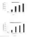 Fig. 05 - Fluorescent building product and related detection method