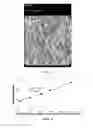 Fig. 03 - Honeycomb structure comprising a cement skin composition with crystalline inorganic fibrous material